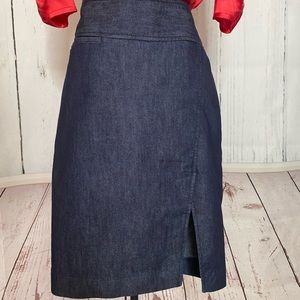 Express Jean Skirt